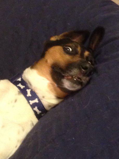 image.jpg