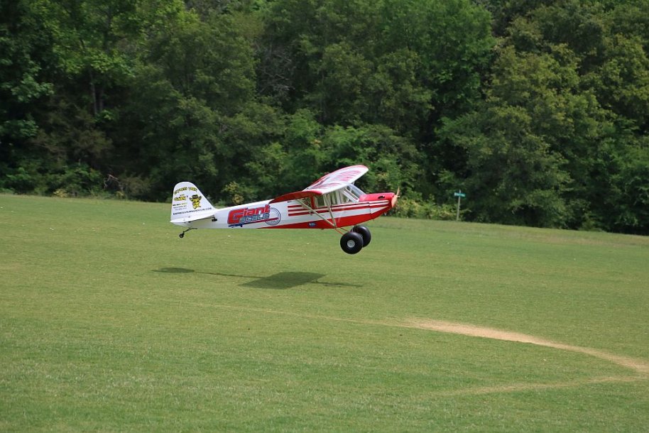 image1552.jpg