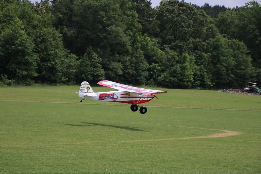 image1555.jpg