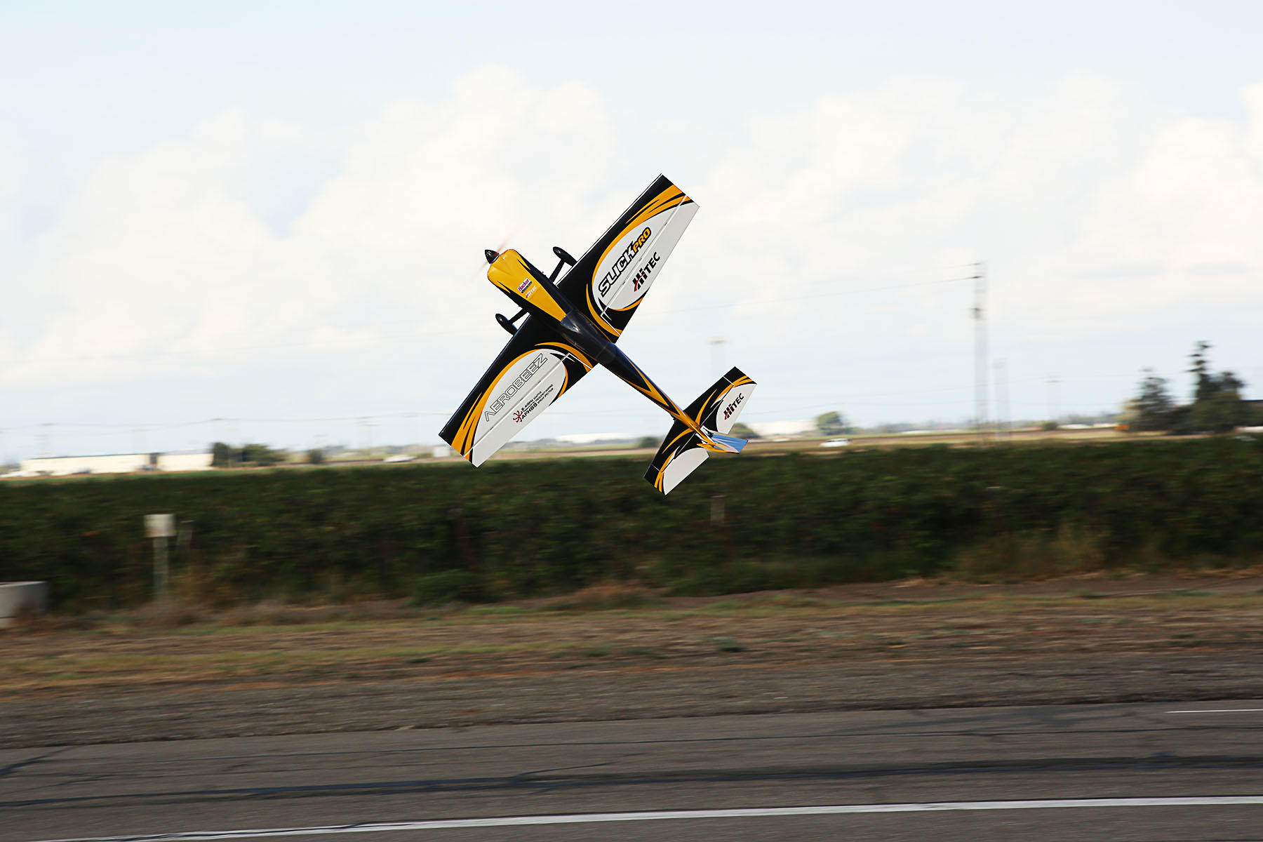 IMG_4079.JPG