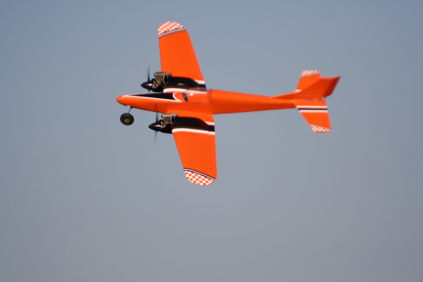 IMG_9873.JPG