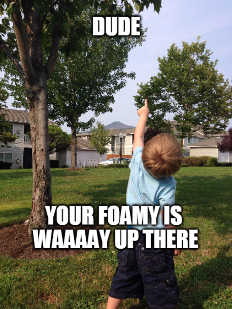 IN THE TREE.png