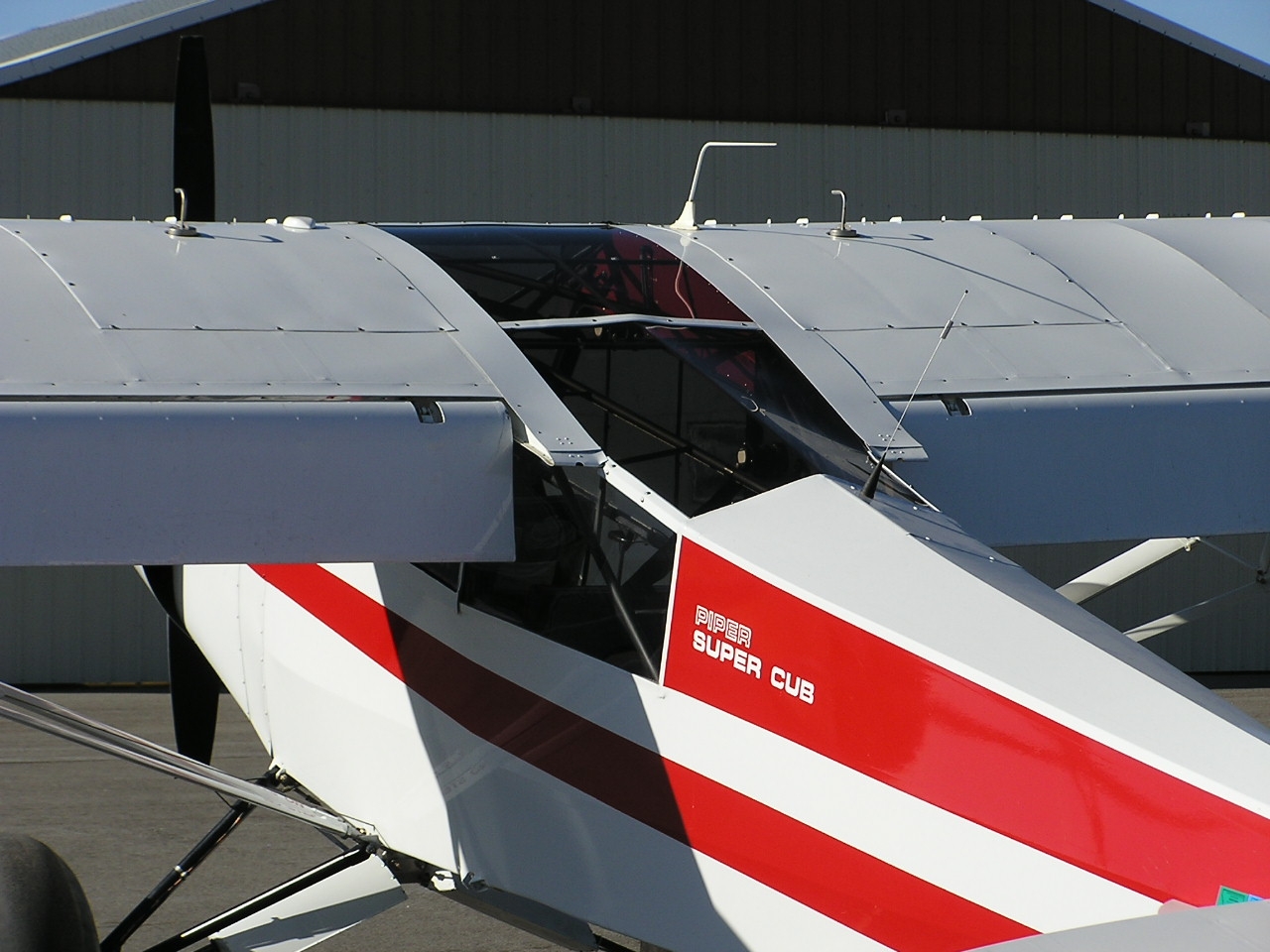 L-19glass.JPG