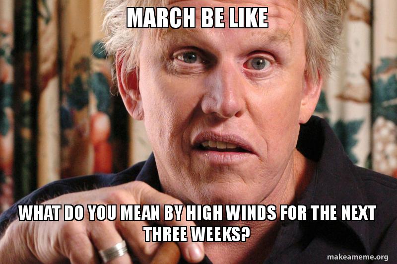 march-be-like.jpg