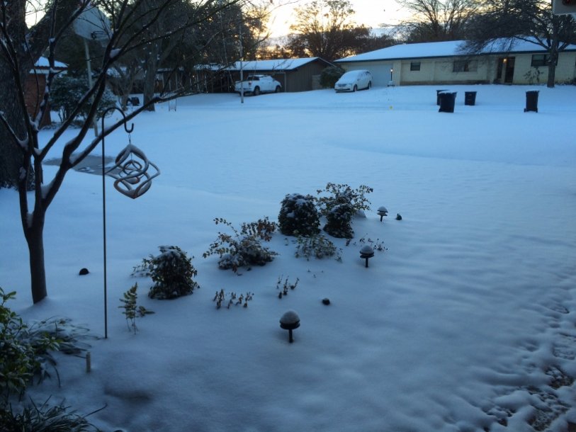 March Snow.jpg
