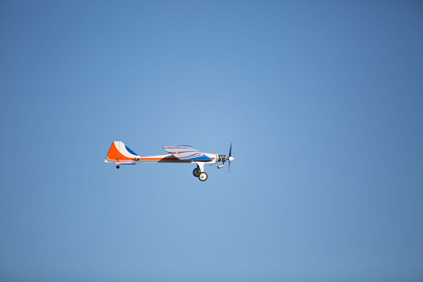 MIII0071.jpg
