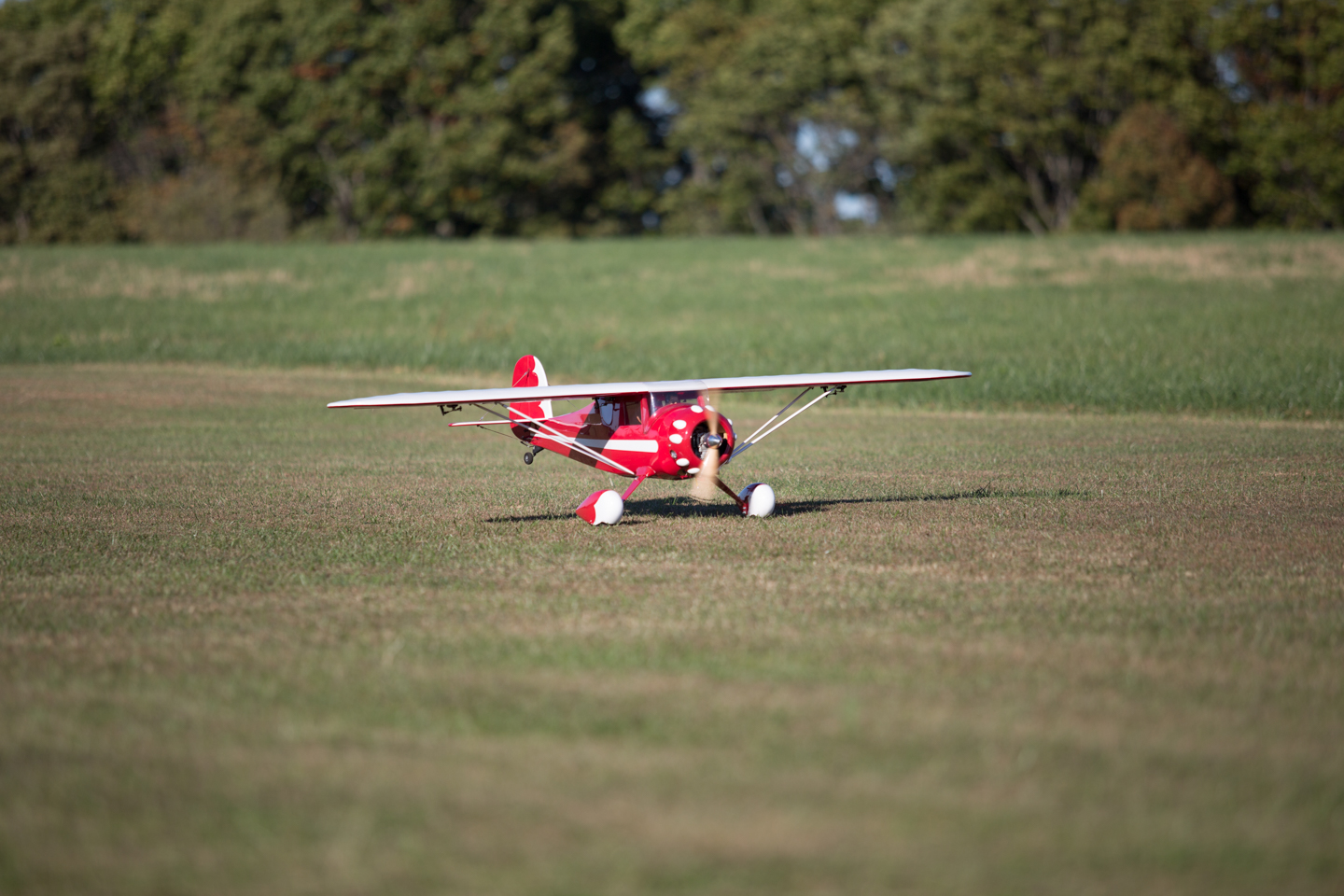 MIII0087.jpg