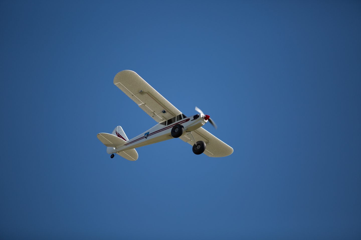 MIII8819.jpg
