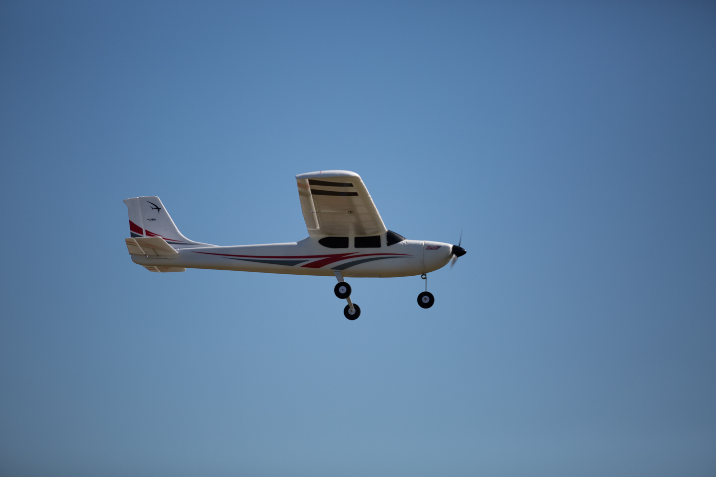 MIII8901.jpg