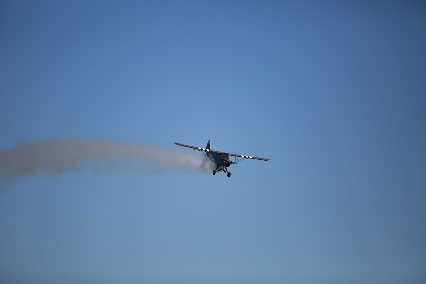 MIII8904.jpg
