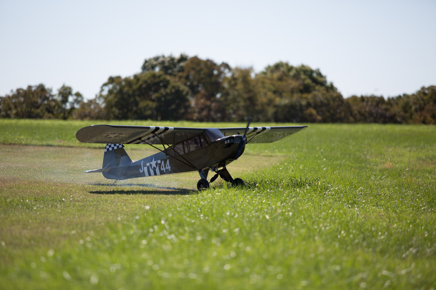 MIII8968.jpg
