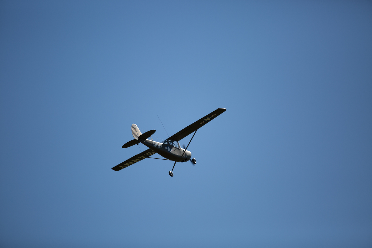 MIII8998.jpg