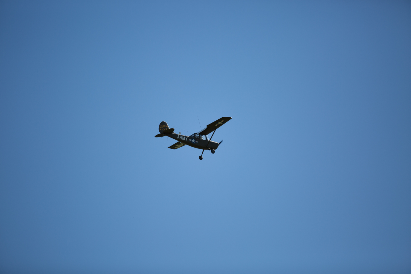 MIII9014.jpg