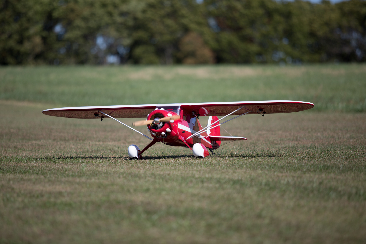 MIII9028.jpg