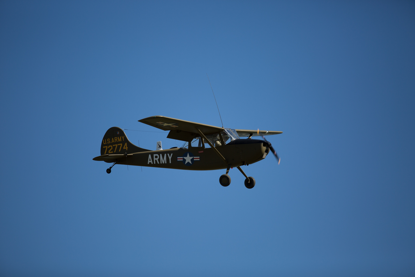 MIII9044.jpg