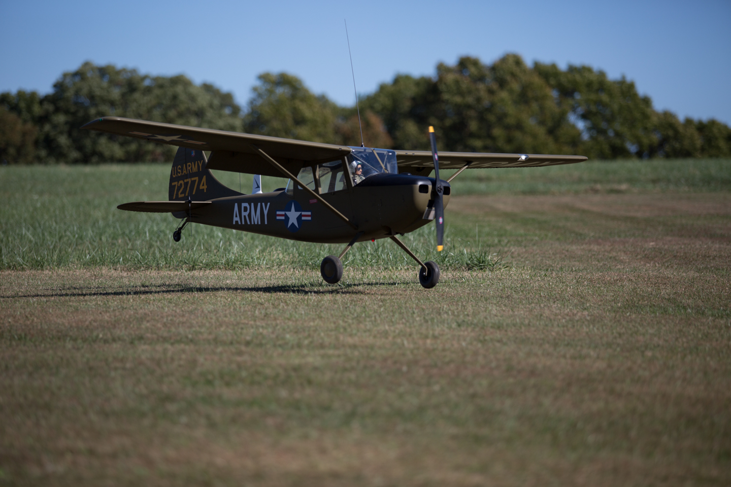 MIII9054.jpg