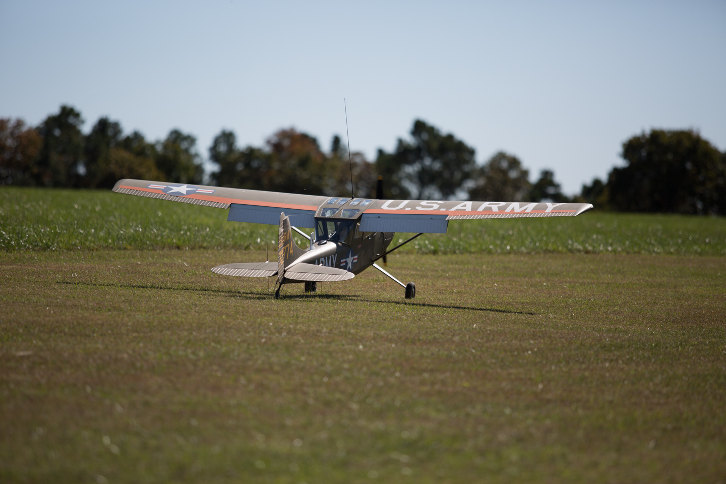 MIII9058.jpg