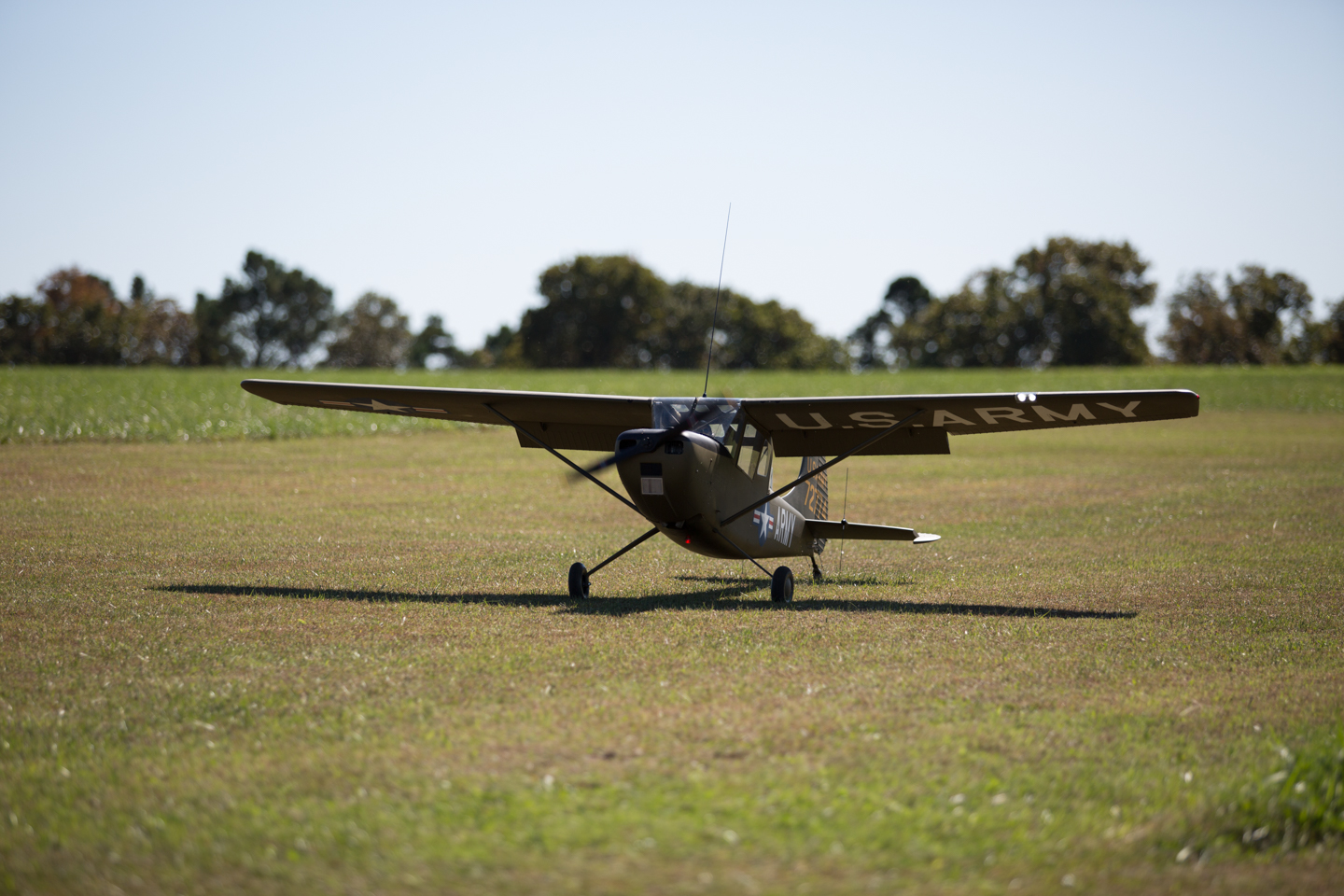 MIII9066.jpg