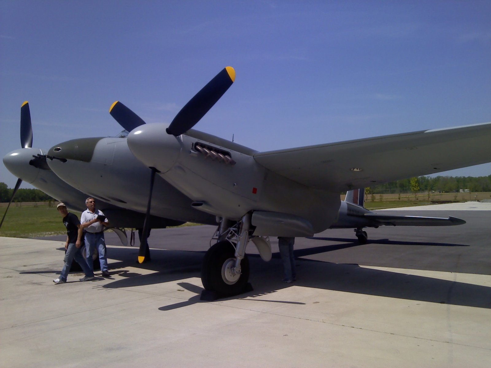 Mossie 15.jpg