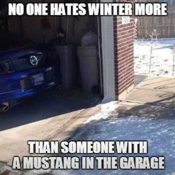 mustangwinter.jpg
