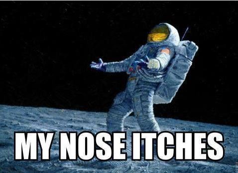 Nose.jpg