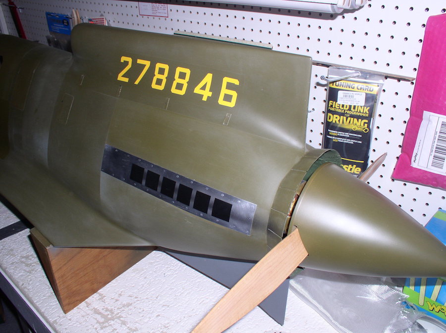 P1010003 copy.JPG