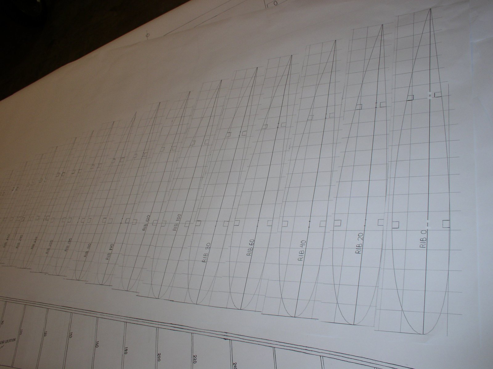 P1010005.JPG