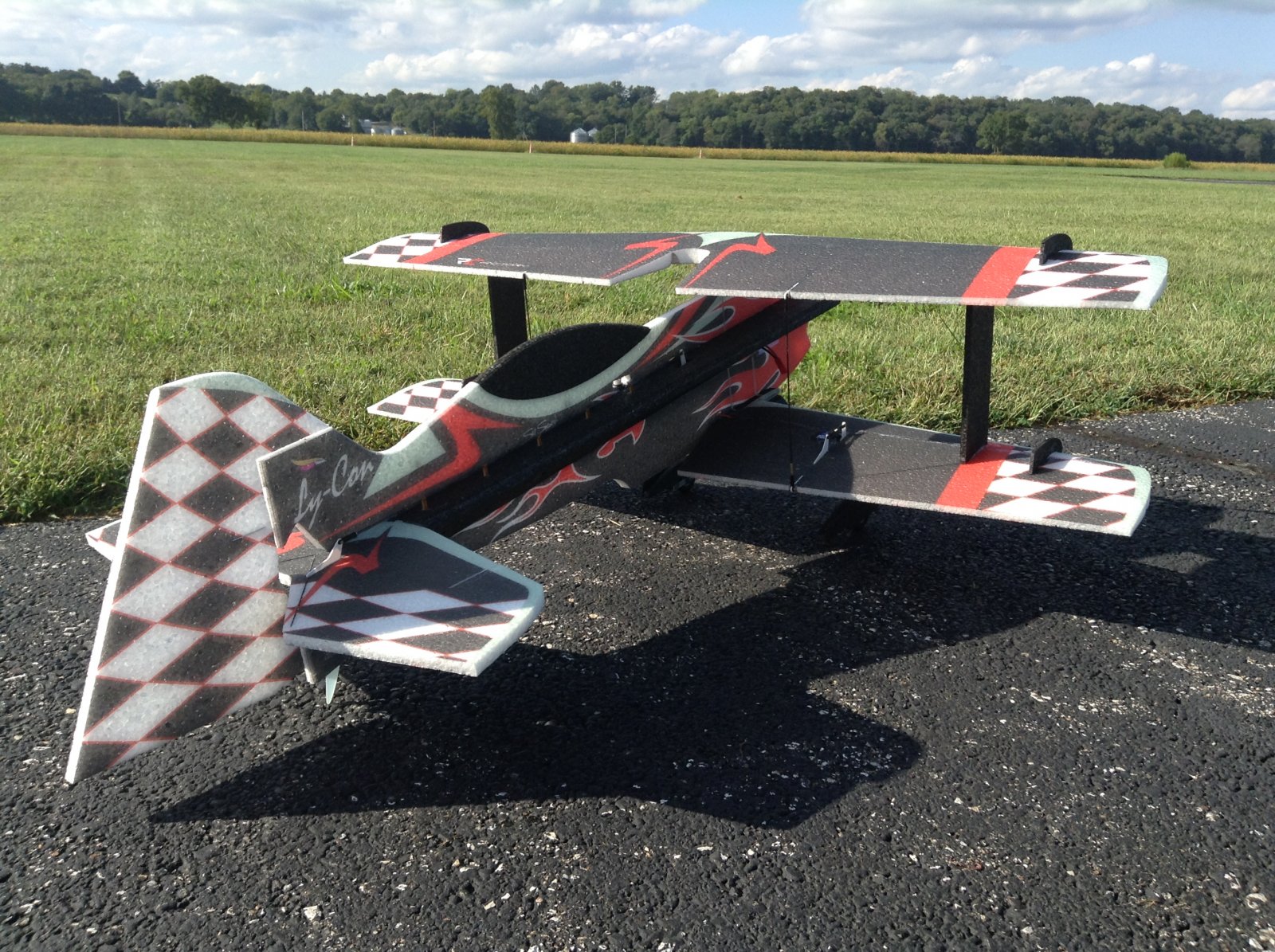 P3 field.JPG