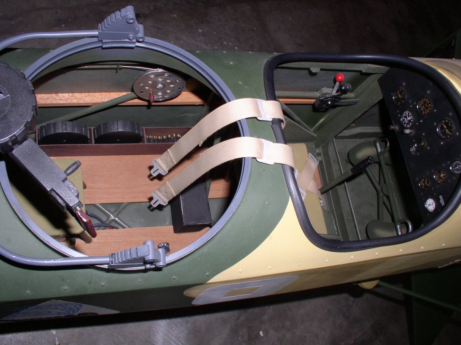 P3.JPG