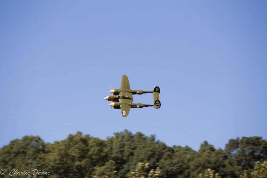 P38 At the swamp Oct 2014.jpg