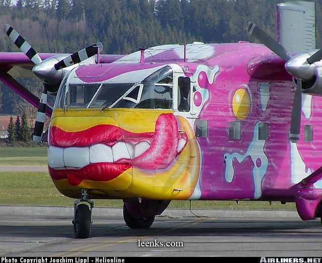 paintedplanes-7.jpg