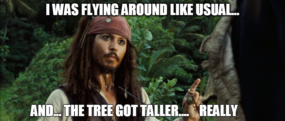 pistolera in the tree.png