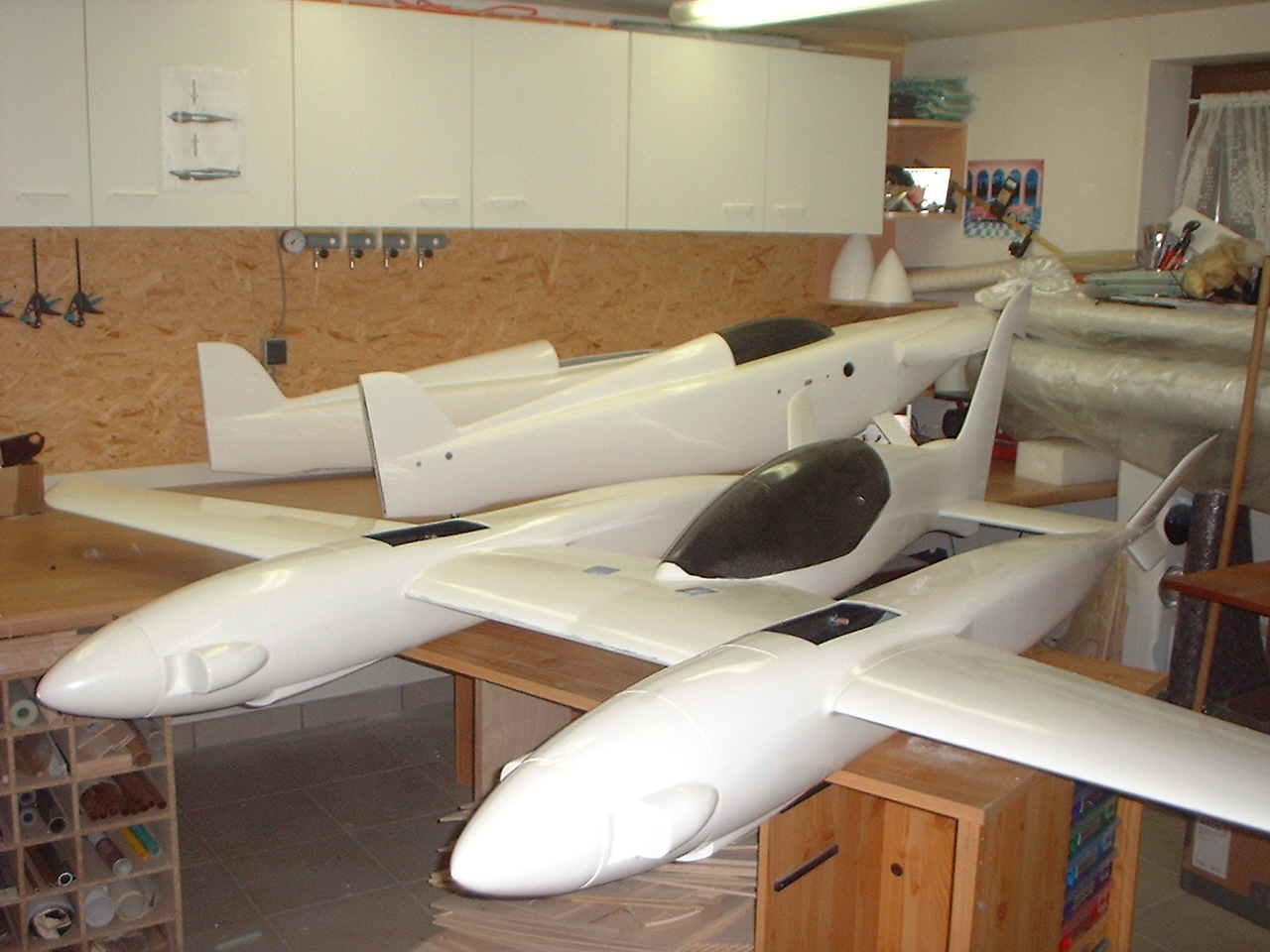 Pond Racer 1.jpg