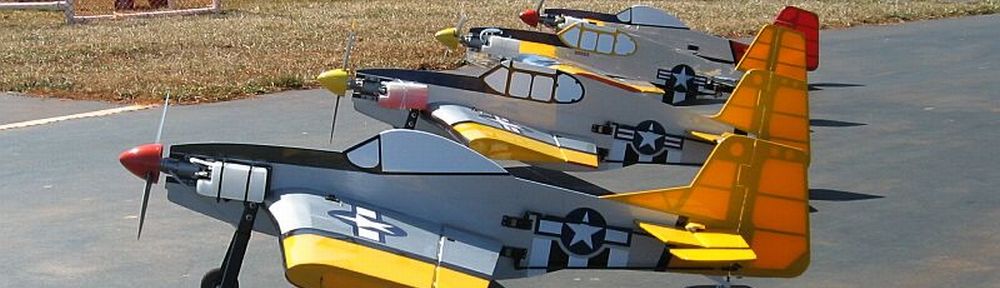 profile p51.jpg