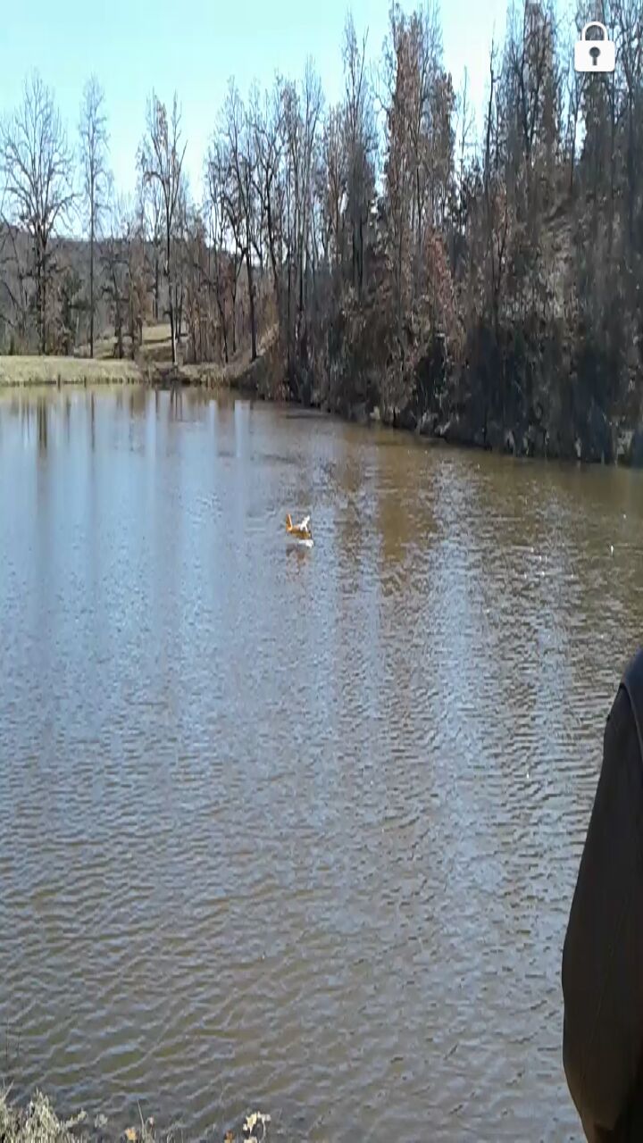 Screenshot_20181124-165259_1543100037235.jpg