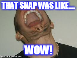SNAP.png