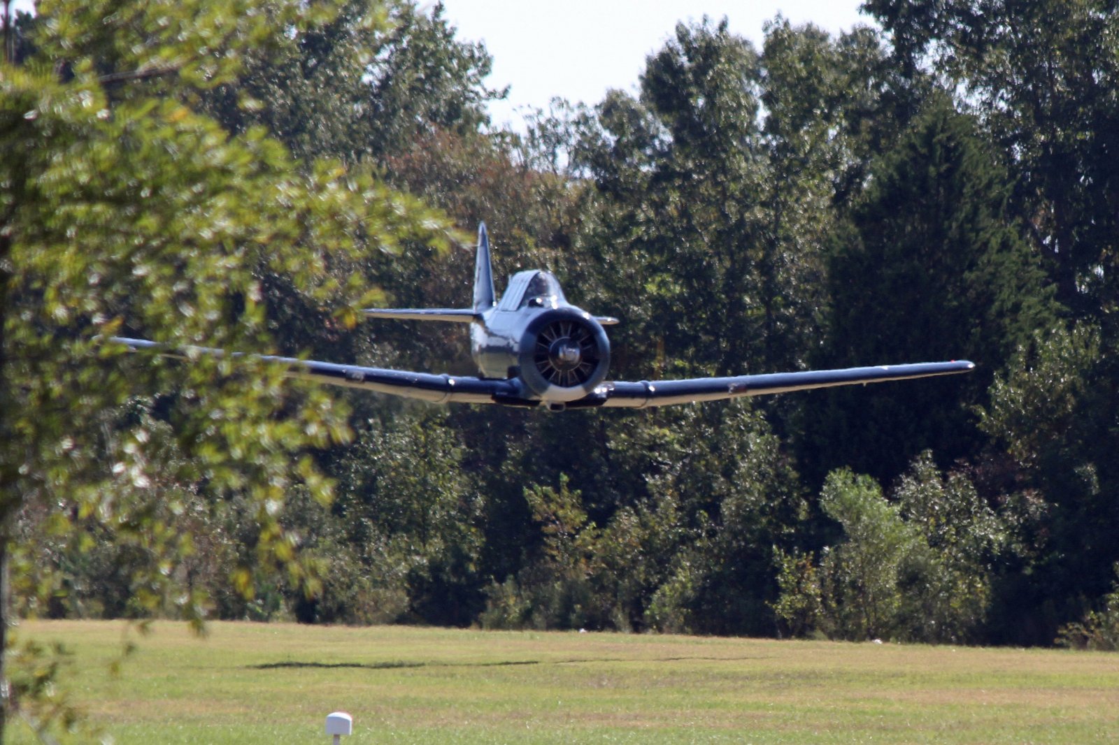 SNJ-4 10.jpg