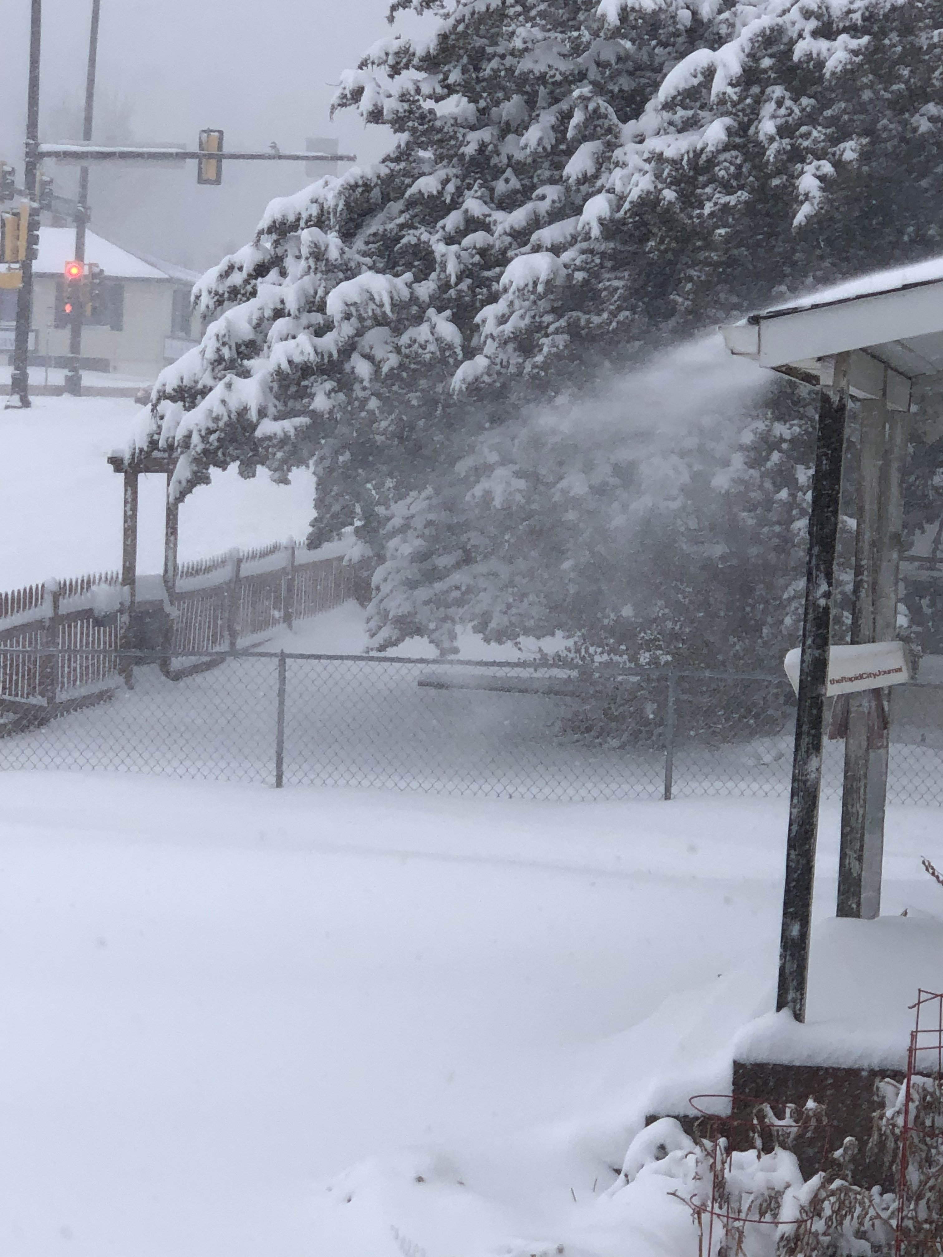 snowday.jpg