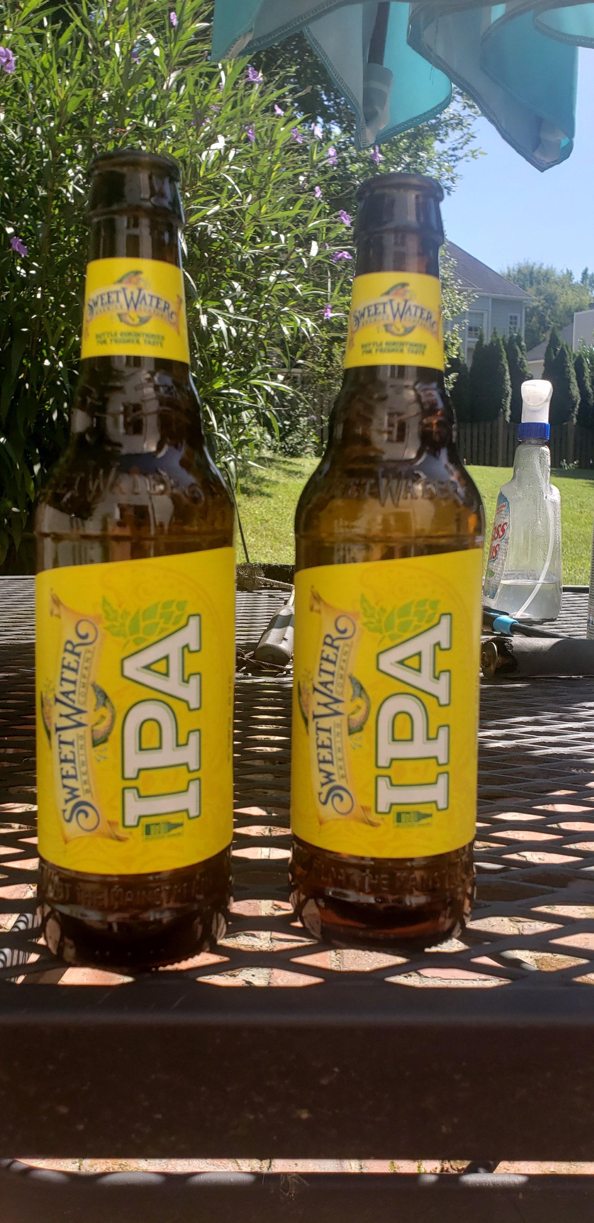 SW IPA.jpg