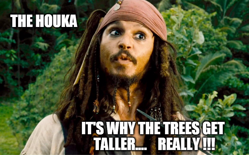 the houka LOL.png
