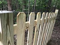 thumb-44714962-62FA-4DD7-B93C-B1A1D0E54A61.jpg