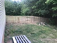 thumb-D94655B6-4A4F-4684-BD1F-98A4FA76702C.jpg