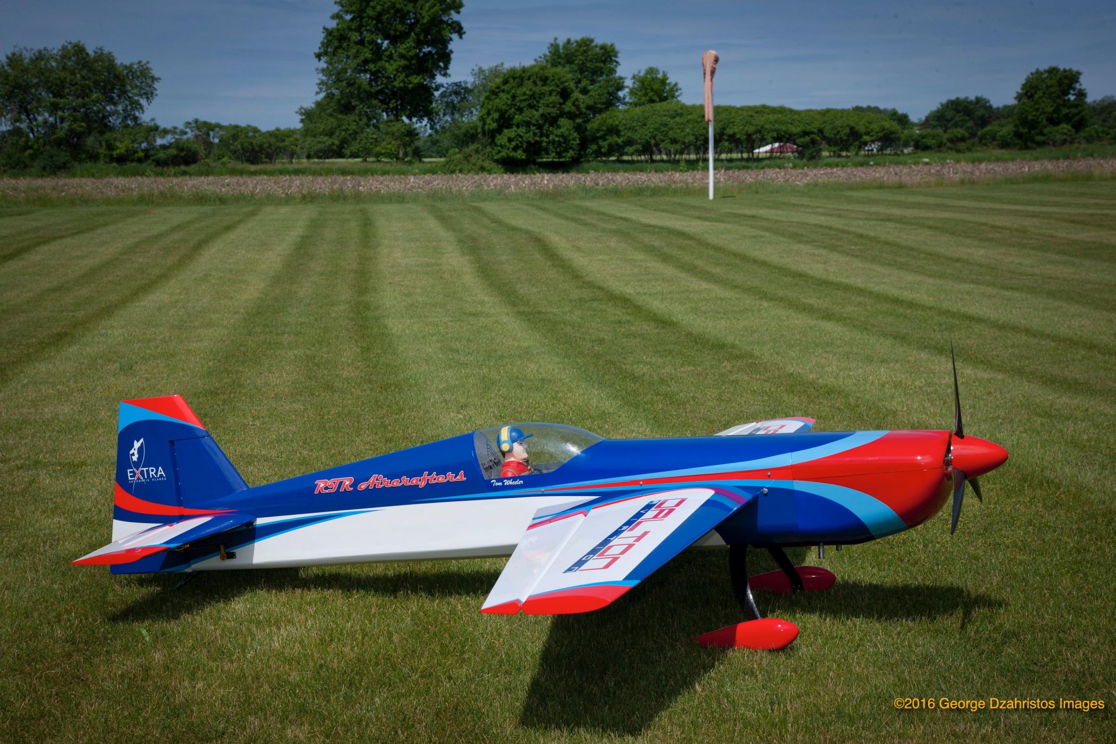 toms dalton 300 sp.jpg