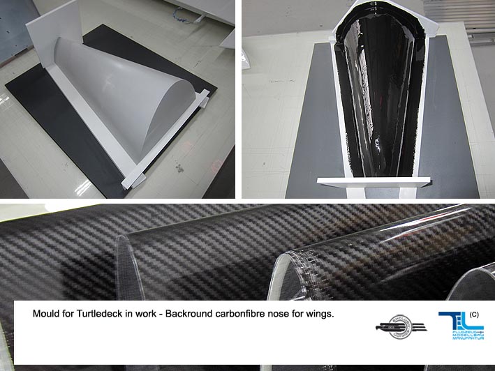 turtledeck_mould_01.jpg