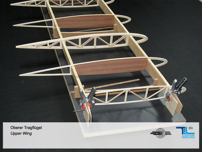 upperwing_04.jpg