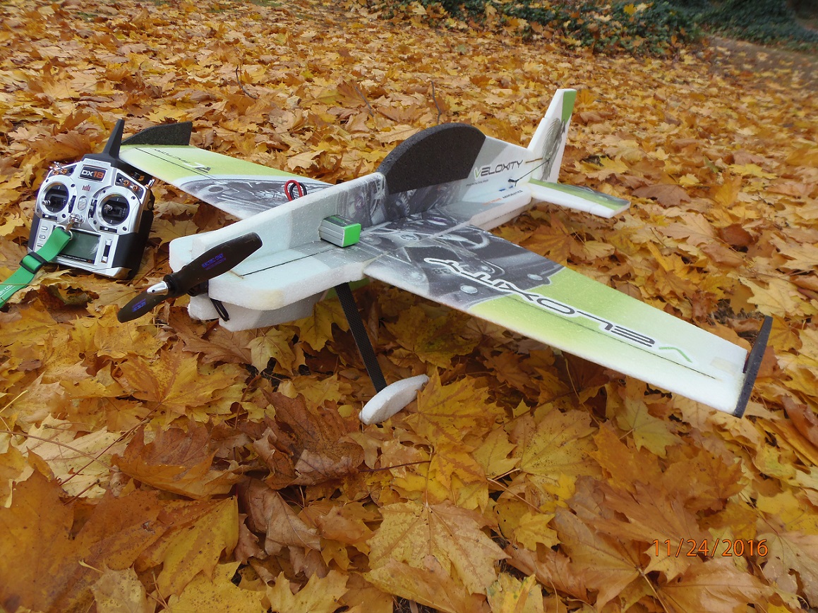 VELOXITY IN THE FALL COLOR.jpg