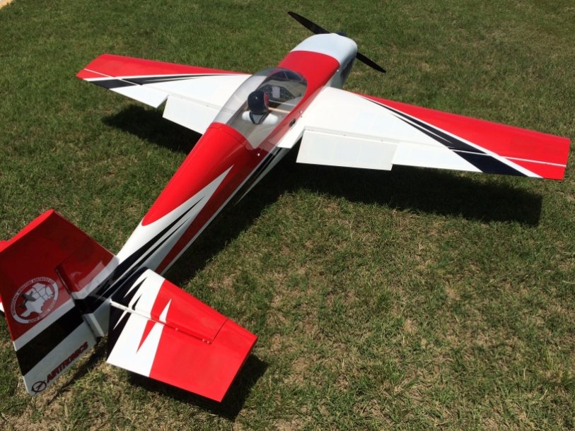 Wing Covering.jpg
