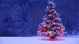 xmastree2.jpg