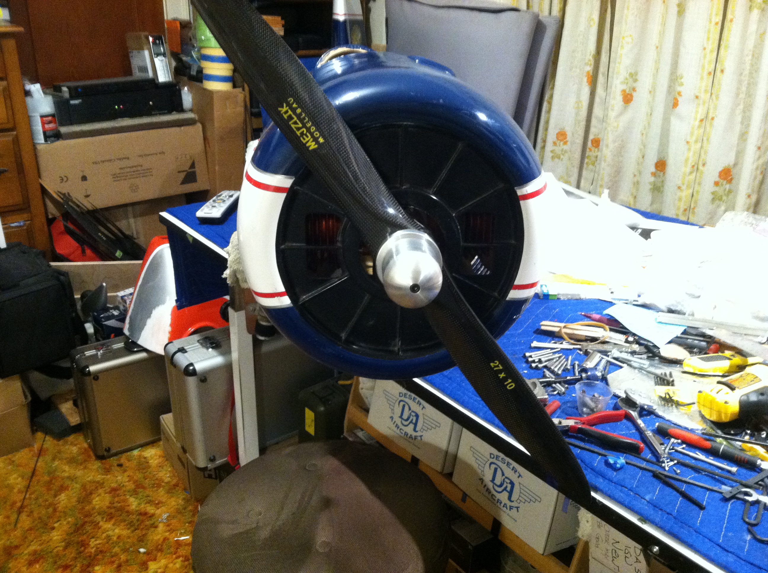 Yak 36.JPG