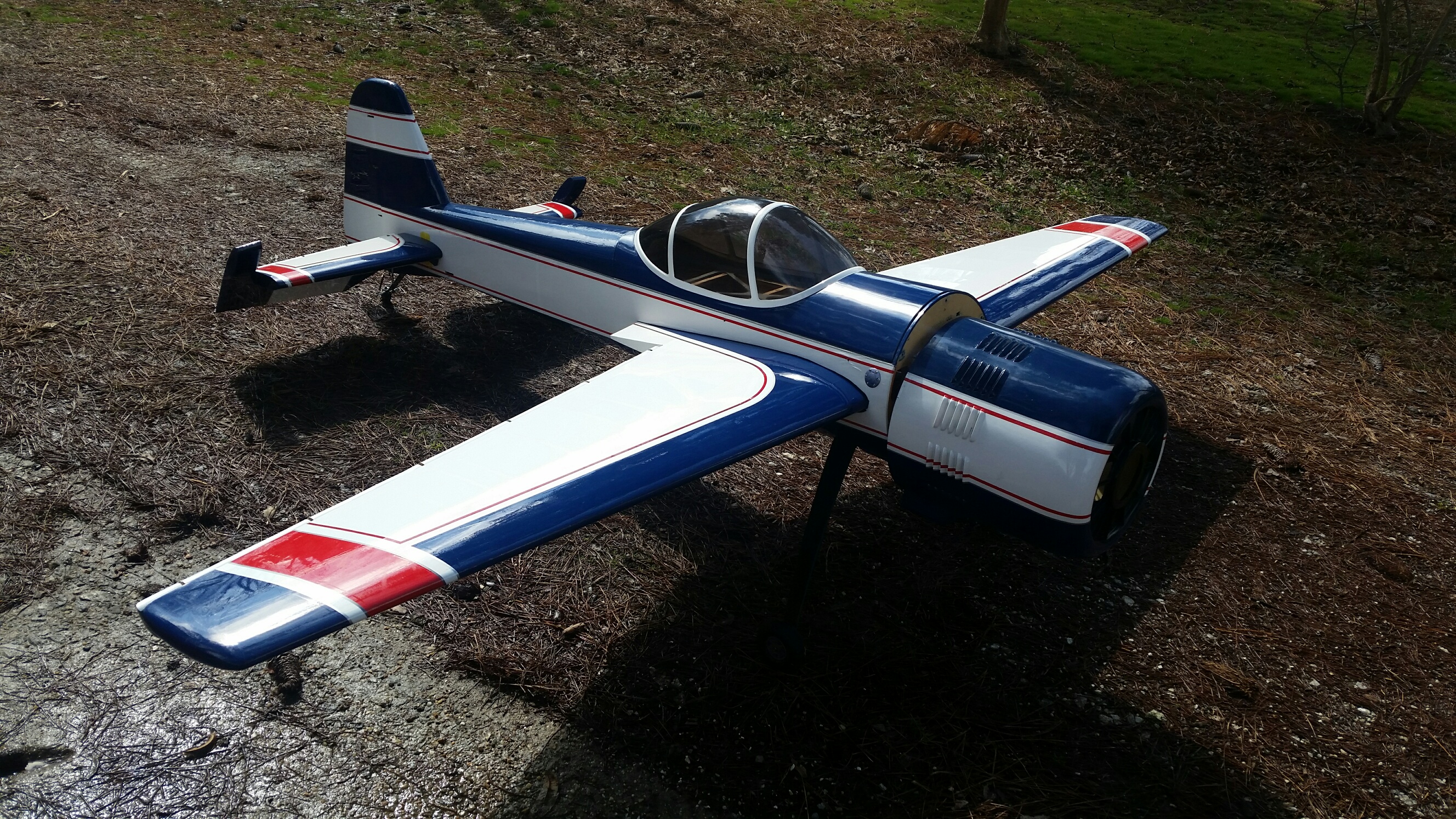 Yak 6.jpg